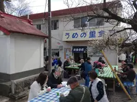 曽我梅林の写真・動画_image_582565