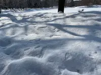 中島公園の写真・動画_image_582793