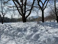 中島公園の写真・動画_image_582852