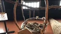 五箇山民俗館の写真・動画_image_583089