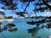 五大堂の写真・動画_image_583235