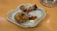 いな穂の写真・動画_image_583382
