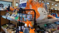 道の駅 大谷海岸（はまなすステーション）の写真・動画_image_583406