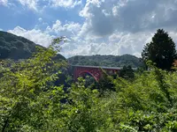 道の駅 奥出雲おろちループの写真・動画_image_584110