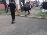 Chamorro Villageの写真・動画_image_584663