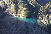 夢の吊橋の写真・動画_image_58516