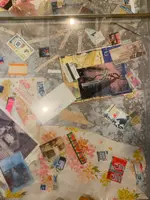 家プロジェクト「はいしゃ」の写真・動画_image_585582
