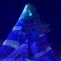 時之栖の写真・動画_image_586004