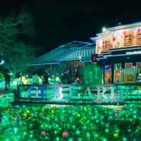 時之栖の写真・動画_image_586007