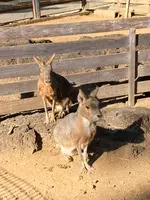 楽寿園の写真・動画_image_586042