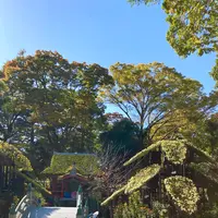 楽寿園の写真・動画_image_586043