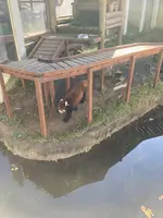 楽寿園の写真・動画_image_586045