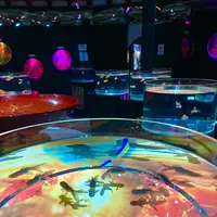 時之栖の写真・動画_image_586055