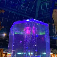 時之栖の写真・動画_image_586056