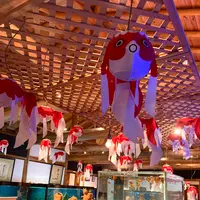 時之栖の写真・動画_image_586058