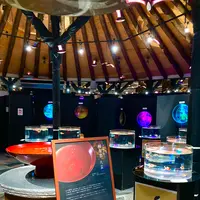 時之栖の写真・動画_image_586059