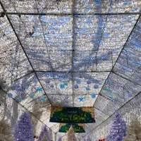 時之栖の写真・動画_image_586060
