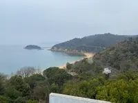 ベネッセハウスミュージアムの写真・動画_image_586114