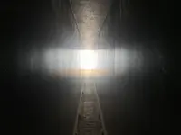 家プロジェクト「護王神社」の写真・動画_image_586251