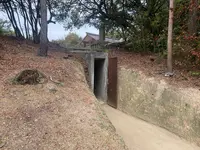 家プロジェクト「護王神社」の写真・動画_image_586252