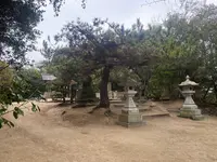 家プロジェクト「護王神社」の写真・動画_image_586253