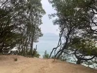 家プロジェクト「護王神社」の写真・動画_image_586255