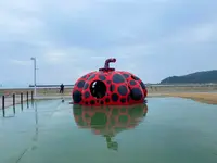 宮浦港の写真・動画_image_586283