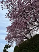 蓮華寺池公園の写真・動画_image_586930
