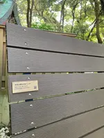 來宮神社の写真・動画_image_587502