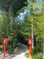 來宮神社の写真・動画_image_587505