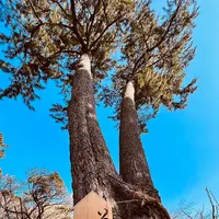 熱海梅園の写真・動画_image_587513