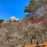 熱海梅園の写真・動画_image_587519