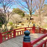 熱海梅園の写真・動画_image_587520