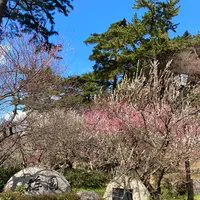 熱海梅園の写真・動画_image_587521