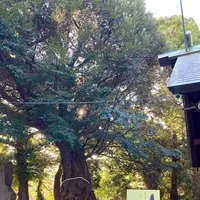 音無神社の写真・動画_image_587535