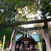 音無神社の写真・動画_image_587537