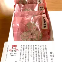來宮神社の写真・動画_image_587568