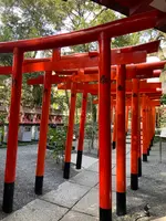 來宮神社の写真・動画_image_587569