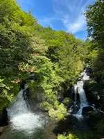 竜頭ノ滝の写真・動画_image_587841