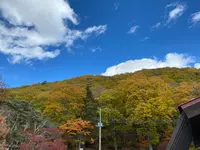 中禅寺湖畔ボートハウスの写真・動画_image_587842