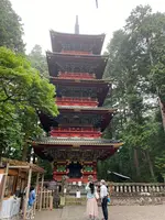 日光東照宮の写真・動画_image_587855