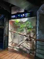 ジェノヴァ水族館の写真・動画_image_588069