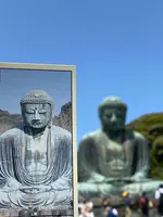 鎌倉大仏（高徳院）の写真・動画_image_588563