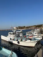 日間賀島の写真・動画_image_588883