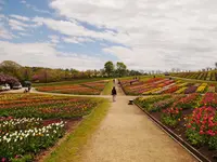 那須フラワーワールドの写真・動画_image_589113