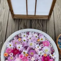 あしかがフラワーパークの写真・動画_image_589118