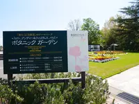 アンディ＆ウィリアムスボタニックガーデンの写真・動画_image_589126