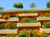 太田市北部運動公園の写真・動画_image_589129