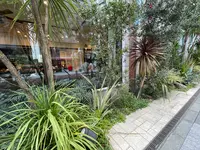 Wande Shibaの写真・動画_image_589319