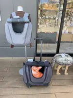 KONCENT 東京ミズマチの写真・動画_image_589779